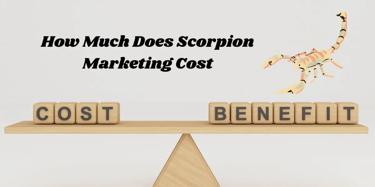 How Much Does Scorpion Marketing Cost